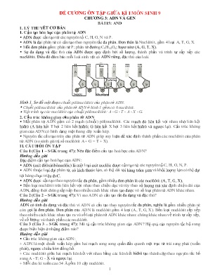 Đề cương ôn tập giữa học kì I Sinh học 9 - Chương 3: ADN và Gen