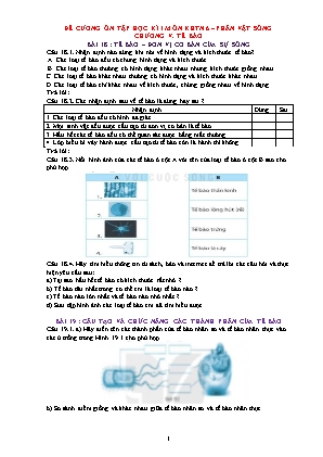 Đề cương ôn tập học kì I Khoa học tự nhiên 6 - Chương V: Tế bào