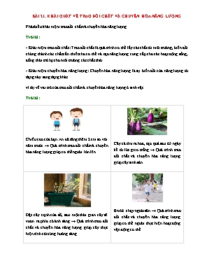 Đề cương ôn tập Khoa học tự nhiên 7 - Bài 21: Khái quát về trao đổi chất và chuyển hóa năng lượng