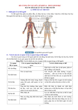 Đề cương ôn tập Khoa học tự nhiên 8 - Bài 30: Khái quát về cơ thể người