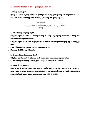 Đề cương ôn tập Sinh học 11 - Bài 4: Quang hợp ở thực vật