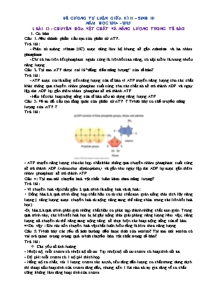 Đề cương ôn tập tự luận giữa học kì II Sinh học 10 - Năm học 2024-2025