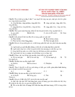 Đề ôn tập Sinh học 12 - Năm học 2023-2024